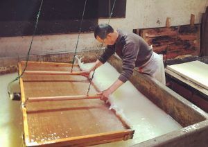 foto de la fabricaci&oacute;n del papel